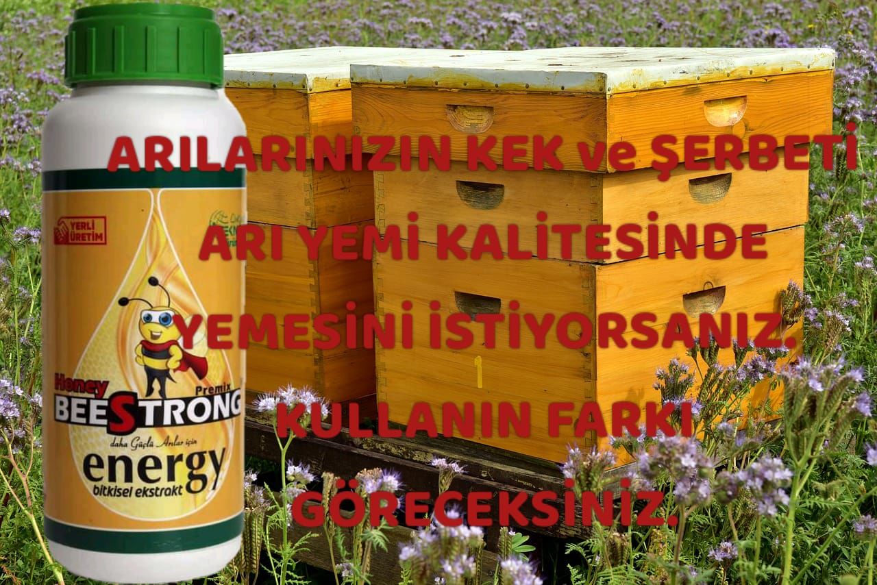 Beestrong Enerjy