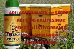 Beestrong Enerjy
