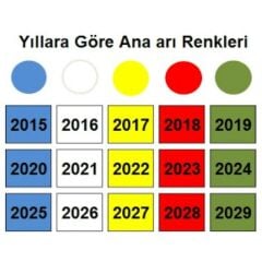 Lega Ana Arı Boyama Ojesi