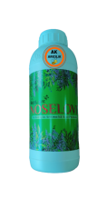 Noselove (1Lt)