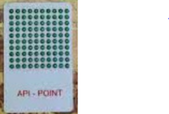 Ak Arıcılık ApiPoint Manyetik Ana Arı İşaretleme Seti Yeşil - Sadece Numara Seti
